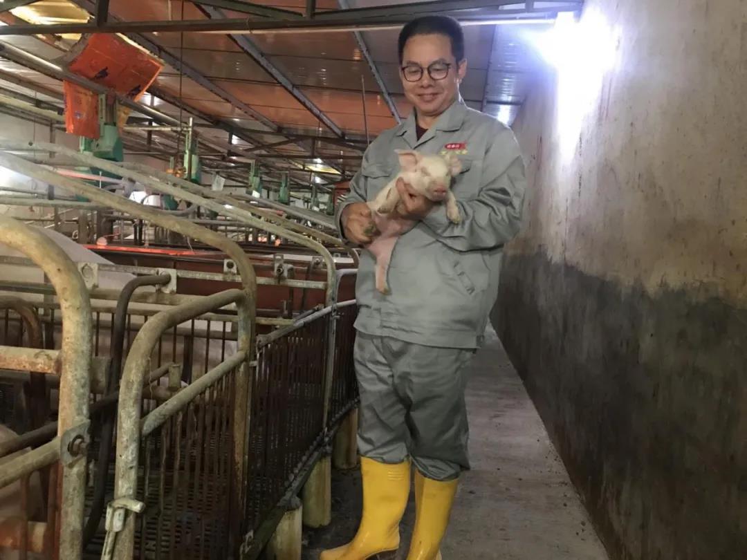 【“五一劳模谈”系列报道之一】艰苦奋斗决心扎根基层，只争旦夕奉献养猪事业——记省食出宝山猪场总经理刘定发同志